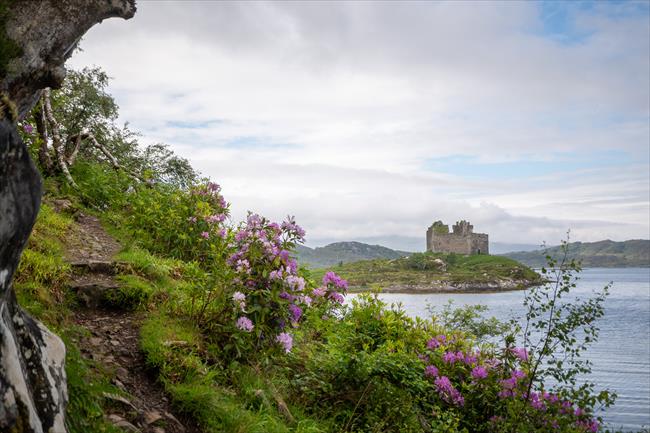 Castle Tioram on Loch Moidart