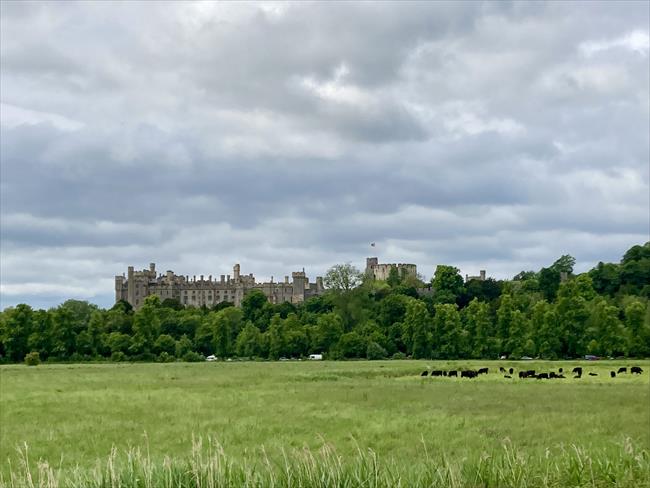 Arundel Castle view