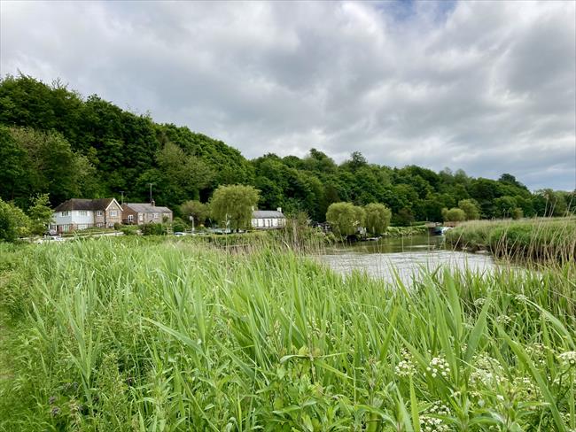 Arundel riverbank