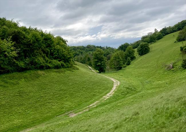 Arundel Park path