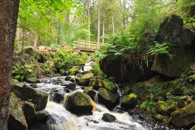 Wyming Brook valley