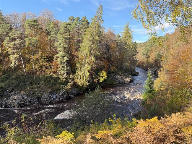 The viewpoint over the River Findhorn