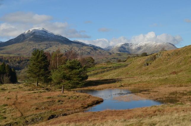 Above Kelly Hall Tarn