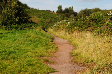 The path leading to the stream