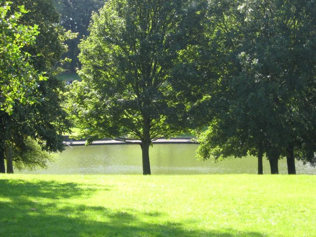 Trees and lake in St George Park