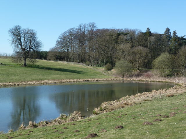 Lower Lake, Greetham, Rutland