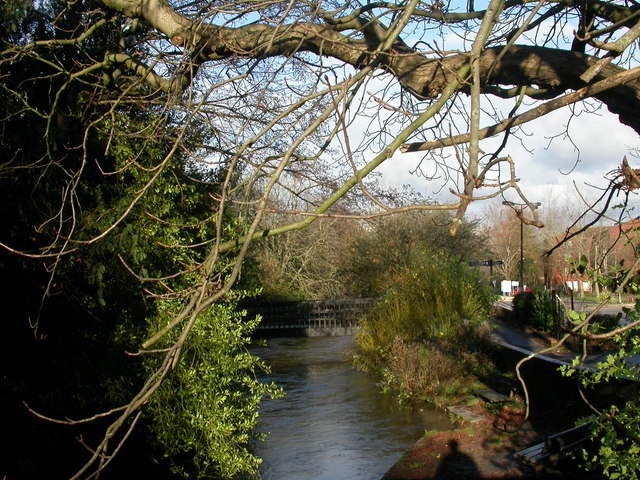 Wimborne, footbridge