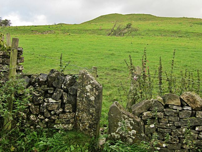 Squeeze stile in left corner of field near end of walk, Hamston Hill in the background