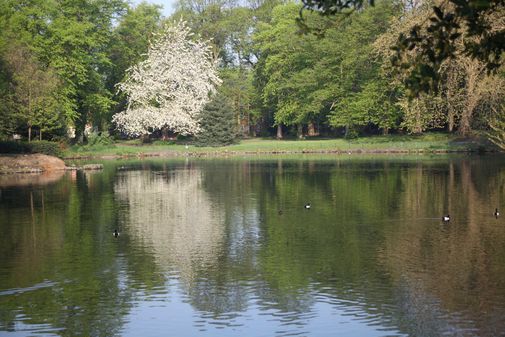 The Lake in Alexandra Park