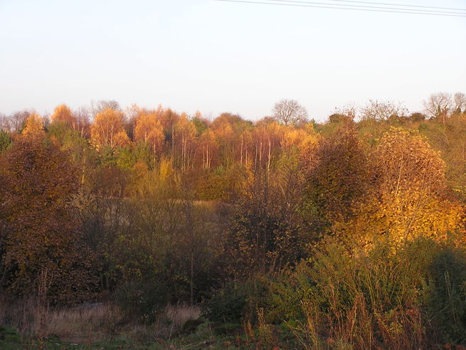 If you are walking here in autumn