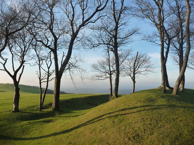 Chanctonbury Ring