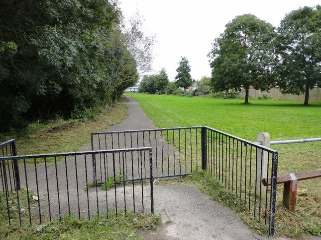 Looking north along the cycle path from the gate of the Community Farm.