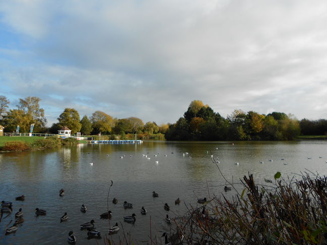 Swanley Park, Swanley