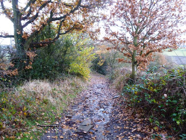 Lepton Lane