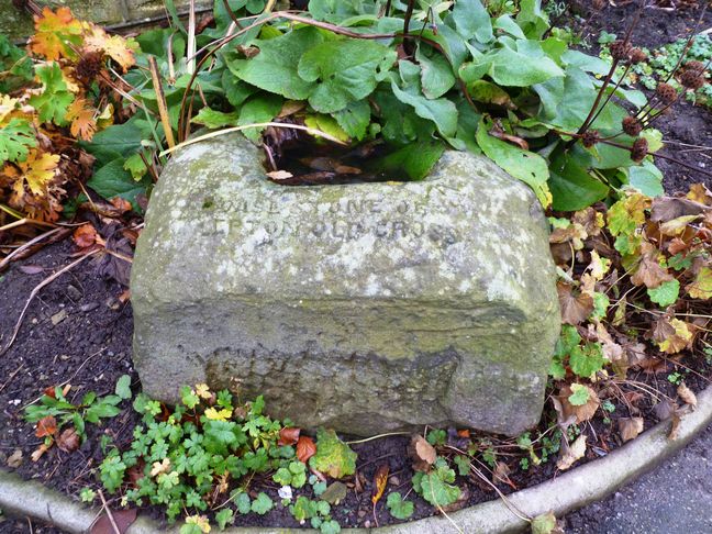 Base of Lepton Cross