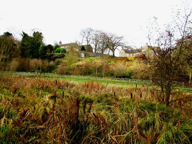 The Wildlife Garden of Bishop Middleham