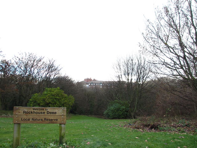 Rockhouse Dene in Seaham