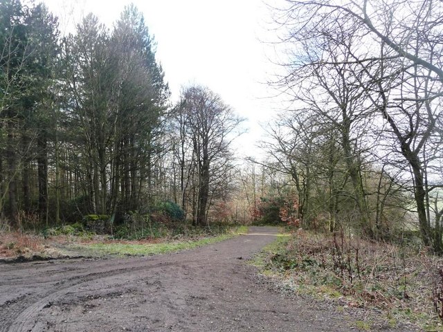 Track &amp; Footpath down Bower Hill