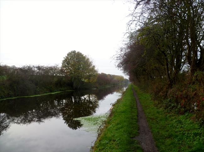 View of Calder and Hebble Navigation