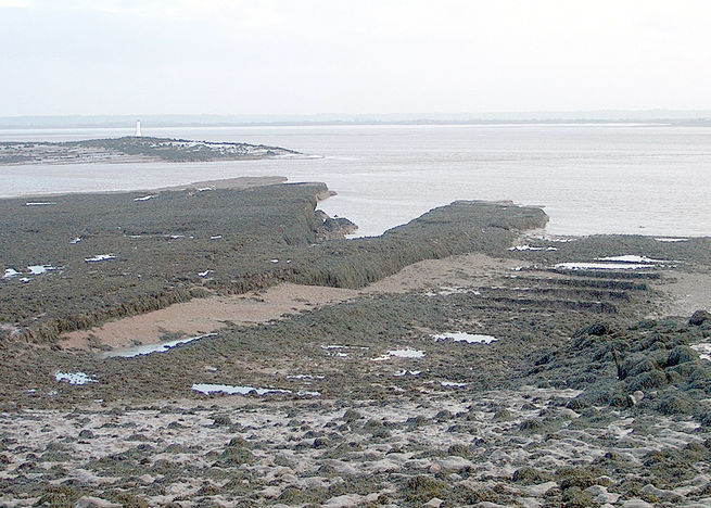 The Foundations of Brunel’s 19th century jetty.