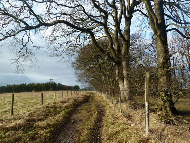 Country path