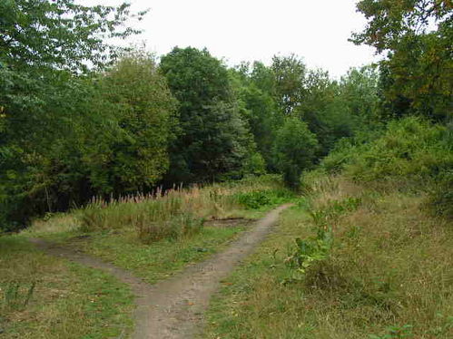 Sunnybank Nature Reserve