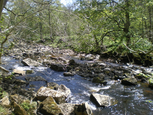 River Greta