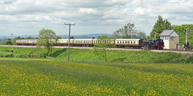 Steam Train