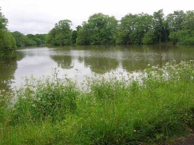 (D) Hammer pond at River Park Farm