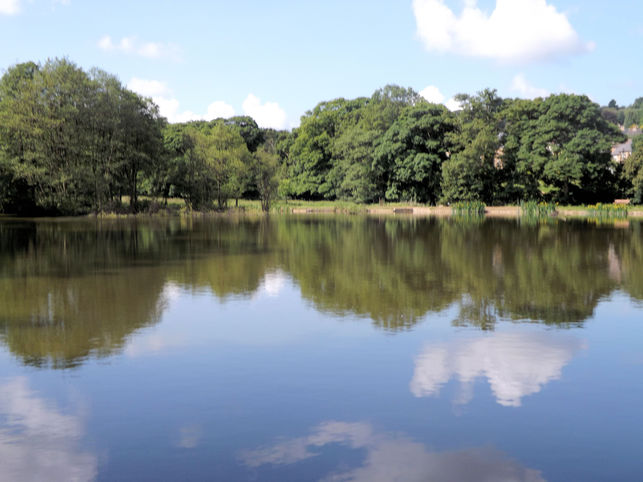 Cotton Mill Dam, Holymoorside