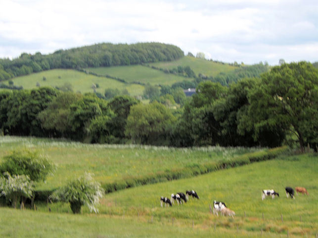 Bole Hill near Wingerworth.