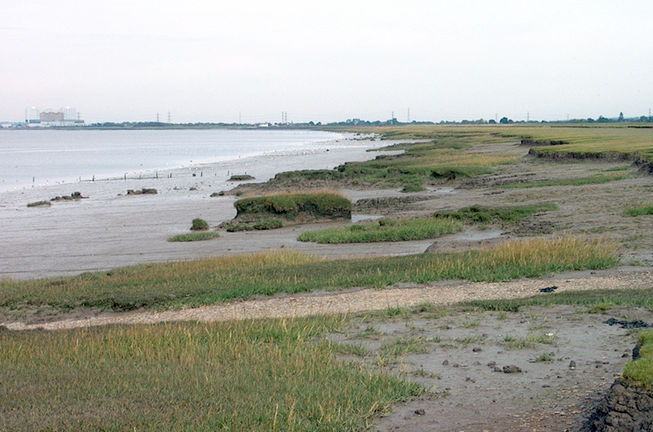 The Severn Estuary