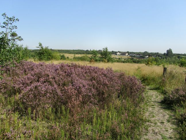 The Spring Cottage Access Area