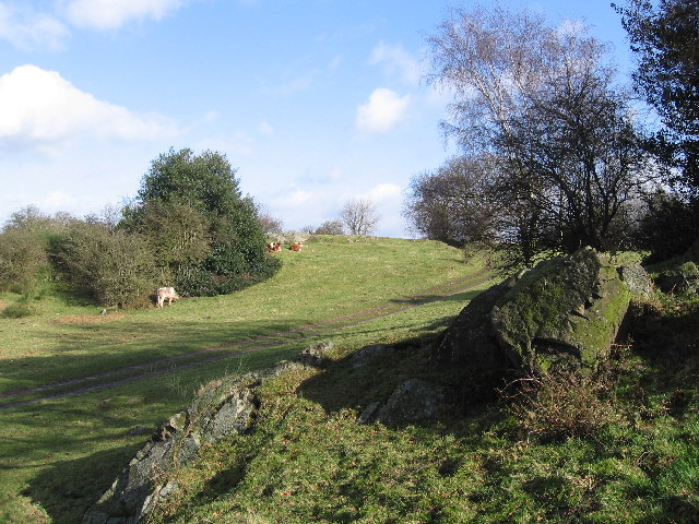 Path approaching Newton Linford