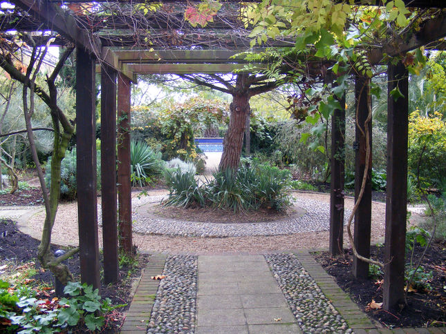 Chumleigh Gardens - Mediterranean Garden