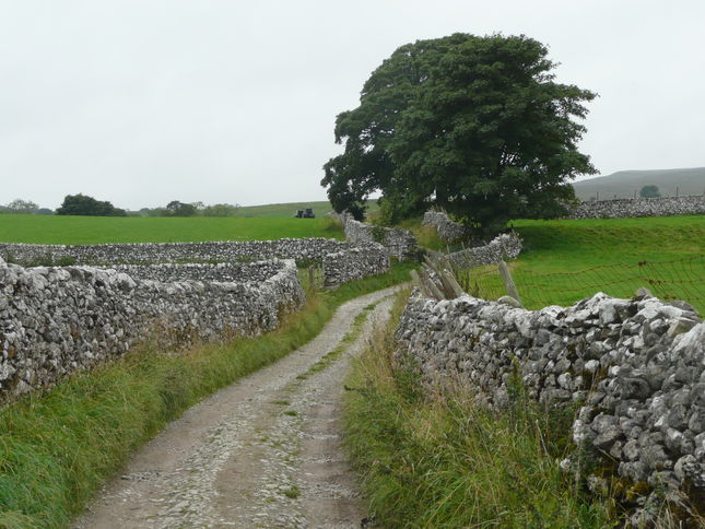 The lane leading from the National park Centre to Hall Close