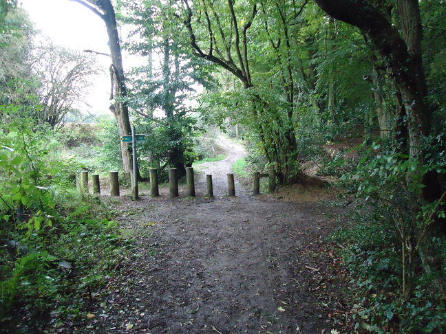 "The Ash Beds" footpath junction.