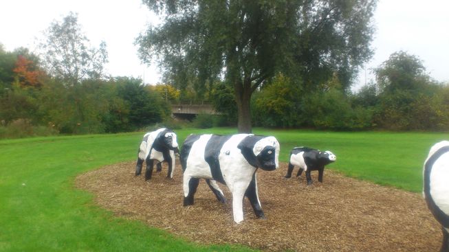 The famous concrete cows!