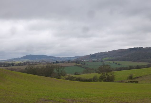 View of Abberley and Woodbury Hills