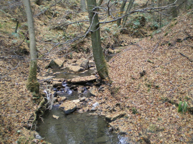 Thornley Gill