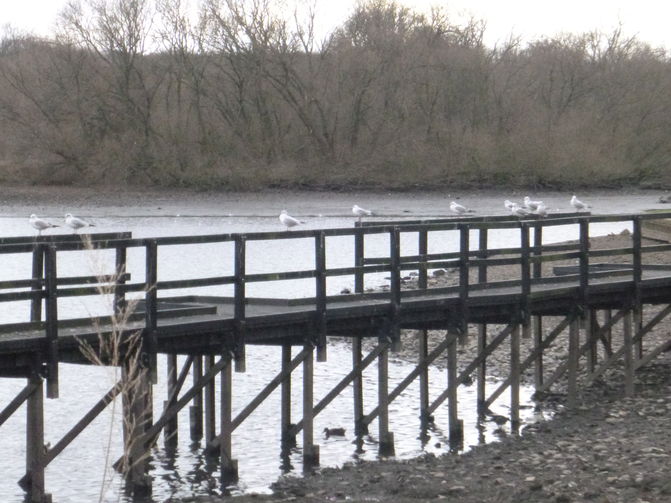 Worsbrough Reservoir - built in 1804.