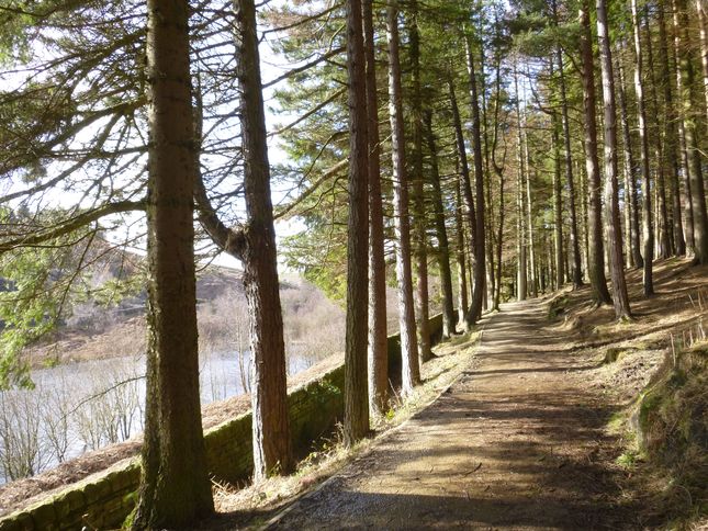 Alongside Langsett Reservoir Track.