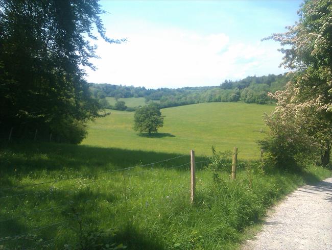 View towards Polesden Lacy