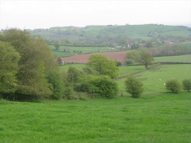 View to Hurtle Hill  