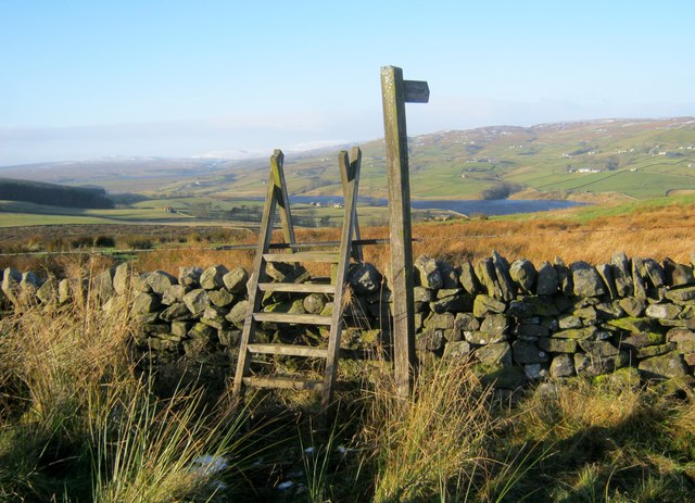 Ladder Stile over Lunedale