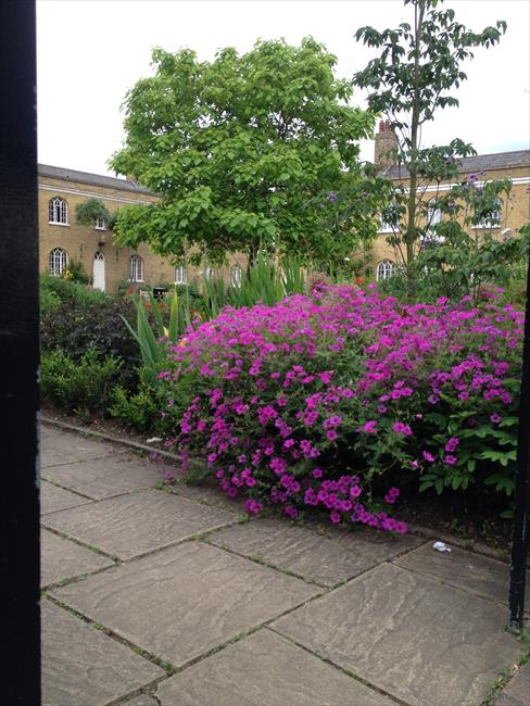 Chumleigh Gardens, Burgess Park