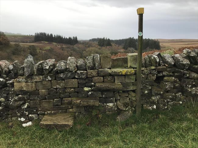 Stile over stone wall near exit from moor with yellow-topped Greenleighton Walk marker post.