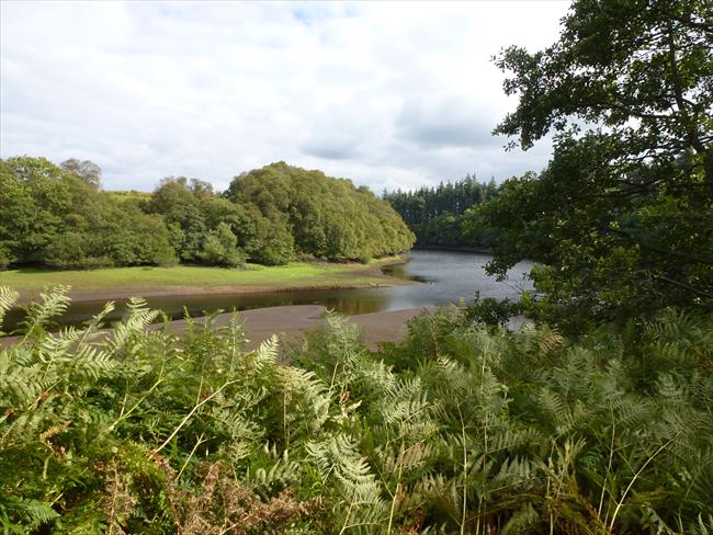 West end of Fontburn Reservoir