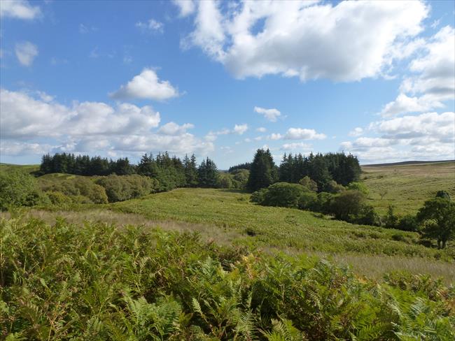 West of Fontburn Reservoir