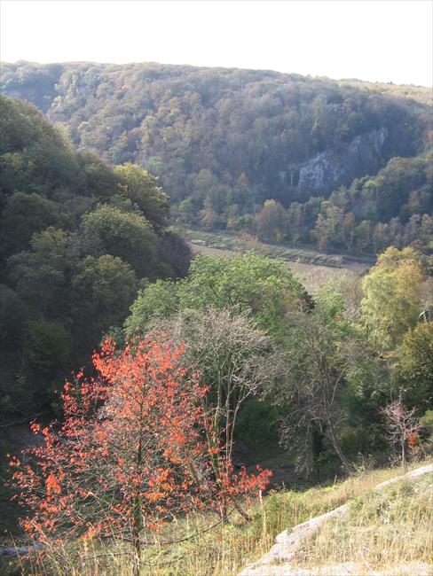 View from Information Board